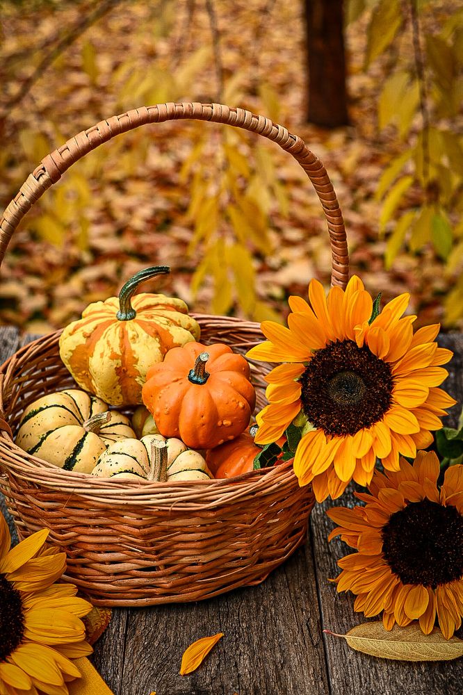 Photograph by Ирина Александрова