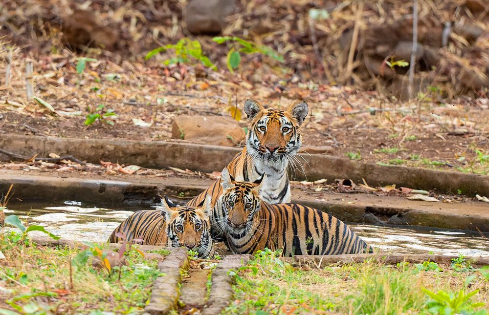 Chilling in the pool with mom