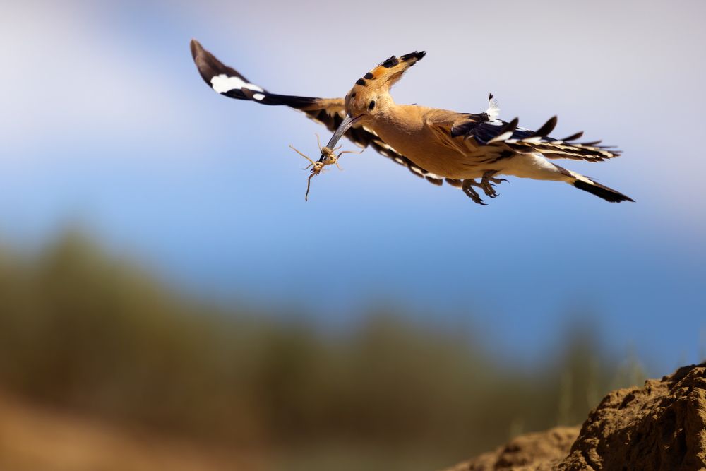 Photograph by Марат Кучкаев