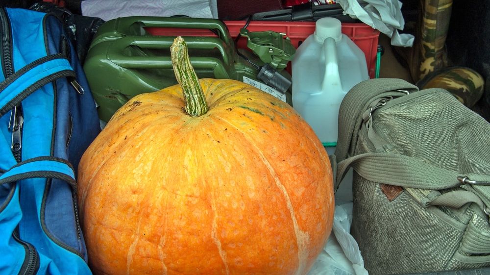 Photograph by Valery Kleymenov