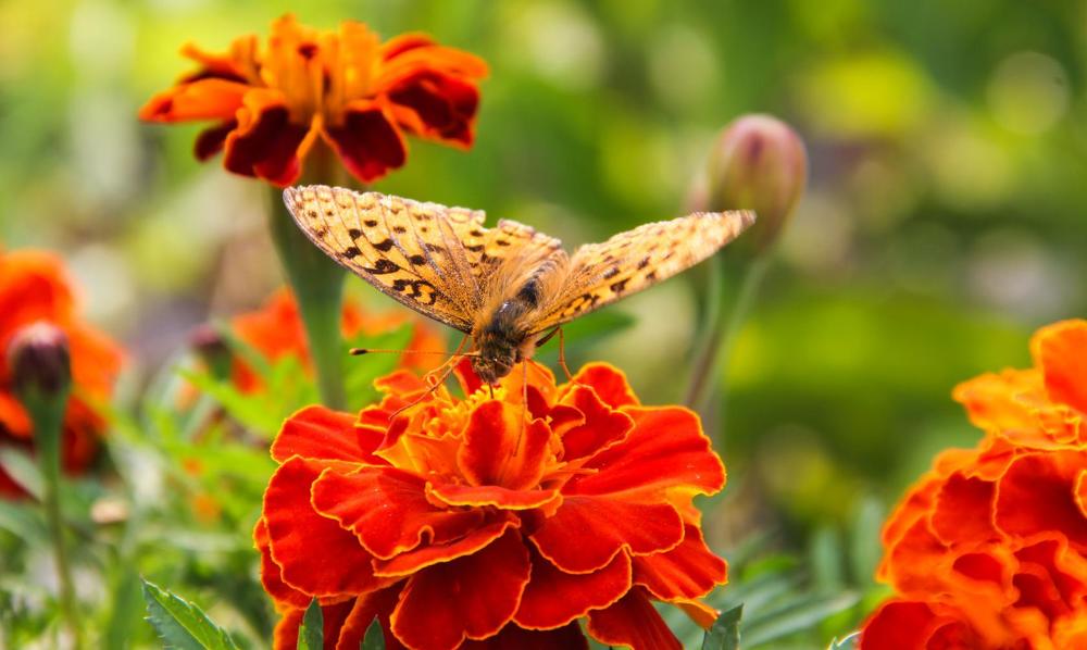 Photograph by Алина