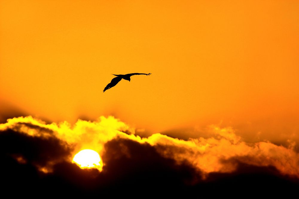 Фотография автора Navedkhan Pathan