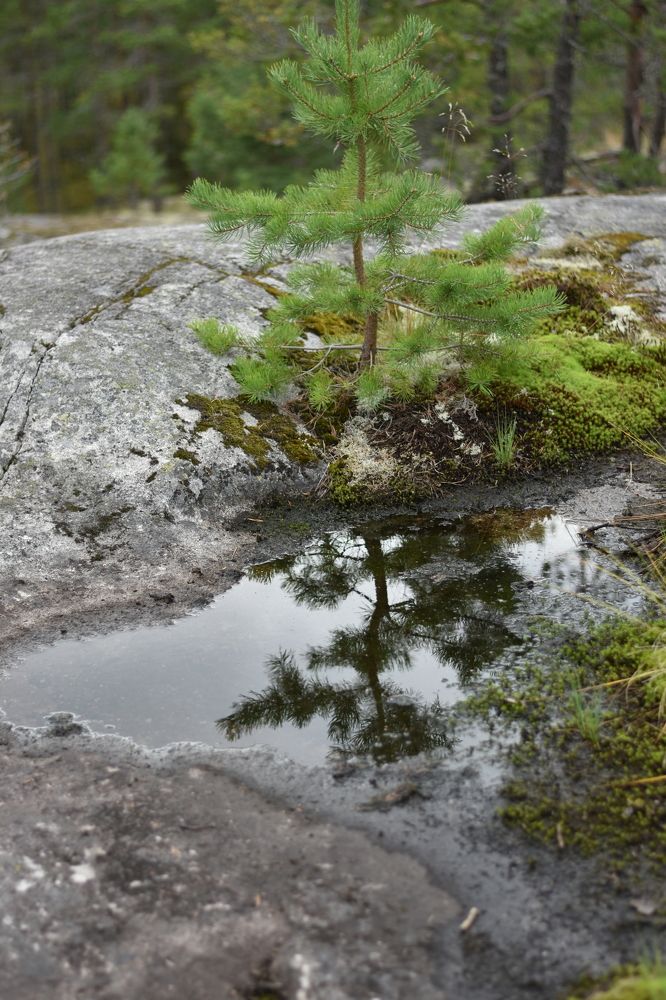 Photograph by Александр Костин