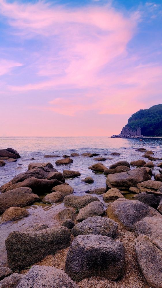 Photograph by Speed Girl