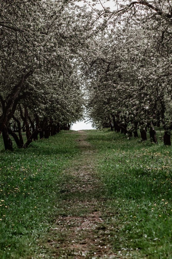 Photograph by Сергей Аникушин