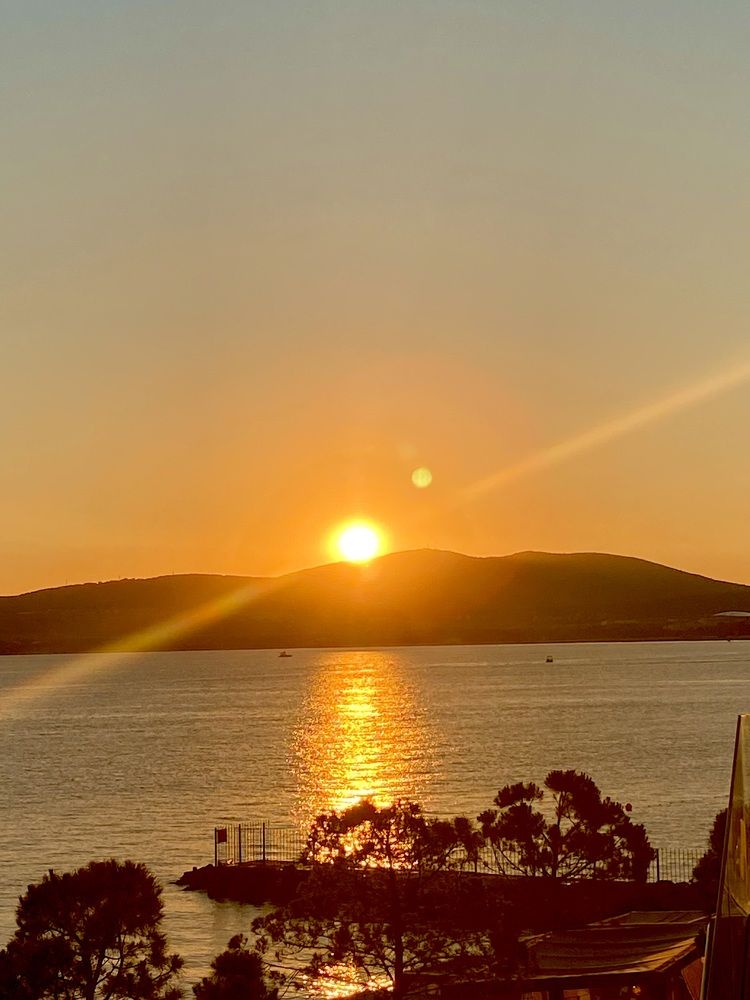 Photograph by Ирина Молибог