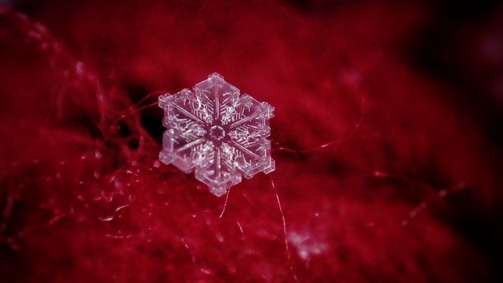 Photograph by Елена Силантьева