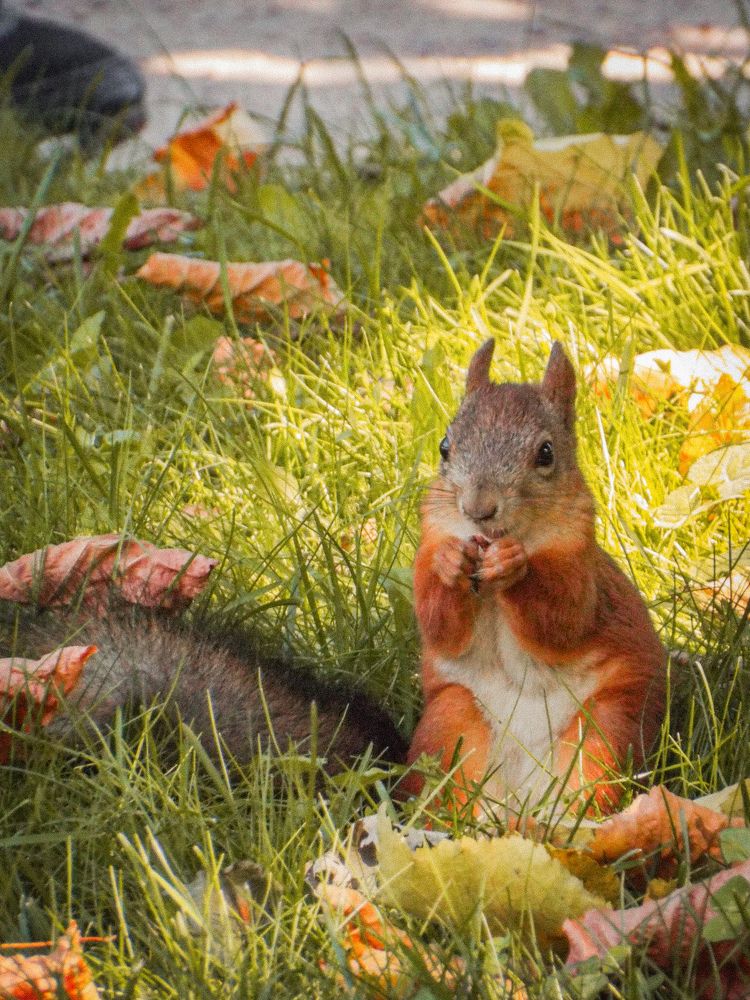 Неожиданная встреча