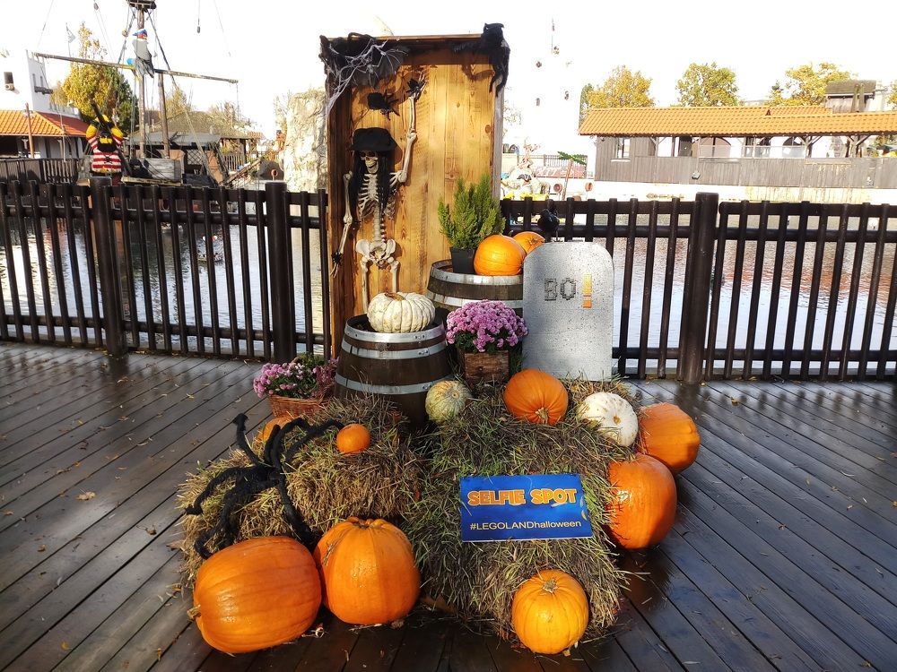 Photograph by Mostafa Shahriar