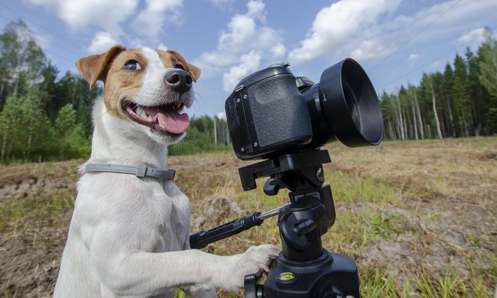 Photograph by Роман Кудрявцев