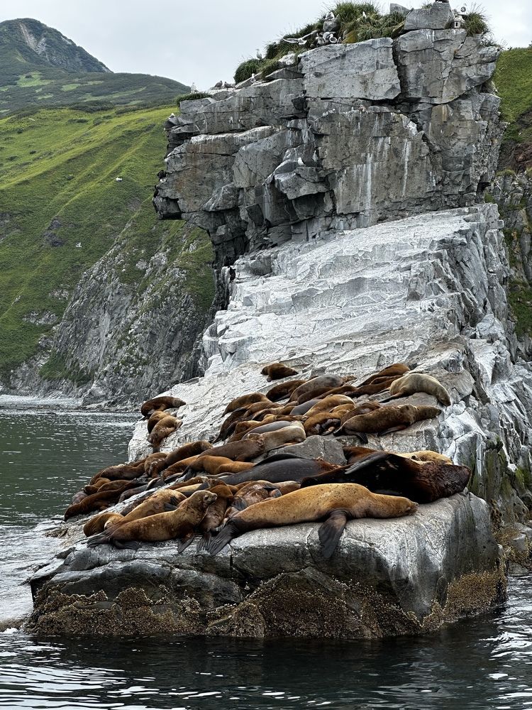 Фотография автора Яврова Татьяна