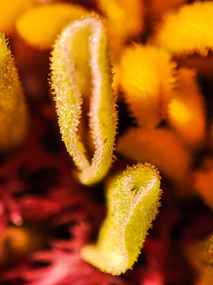 Photograph by Аксиния Михеева