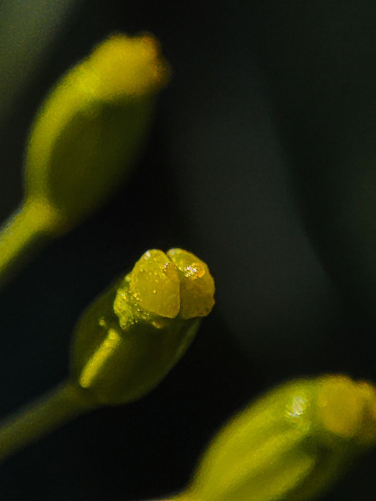 Photograph by Аксиния Михеева