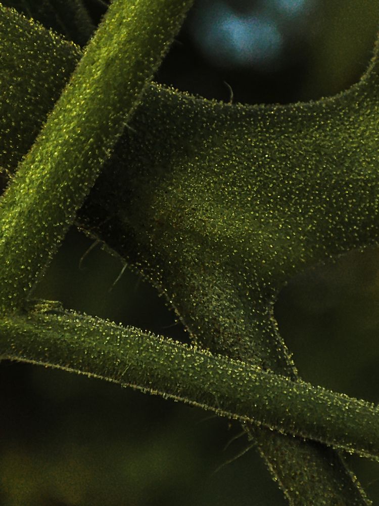 Photograph by Аксиния Михеева