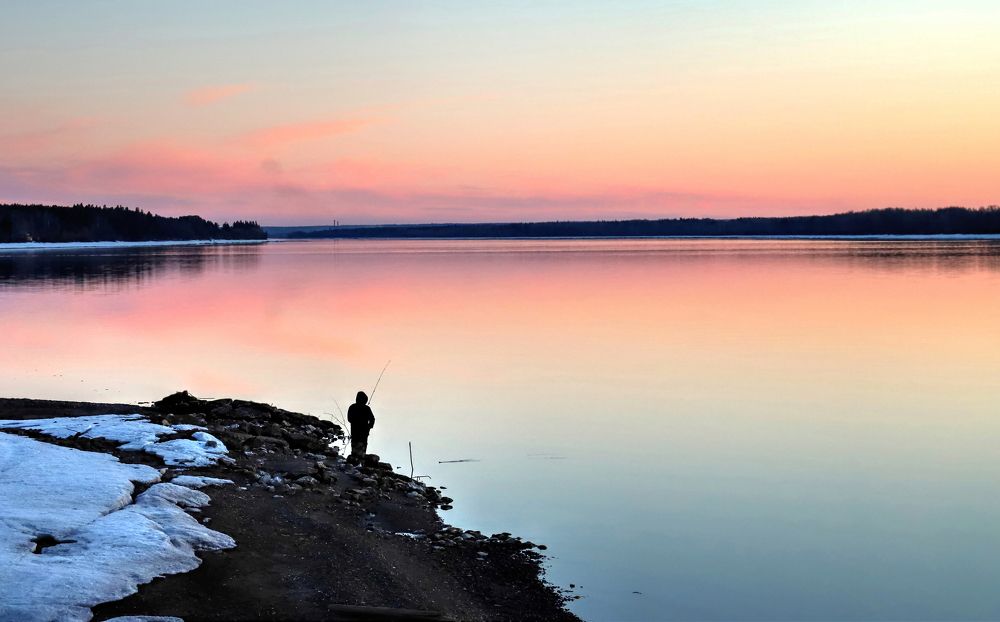 Фотография автора Светлана Бакулина