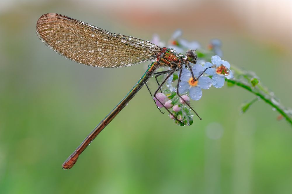 Фотография автора Роман Зайцев