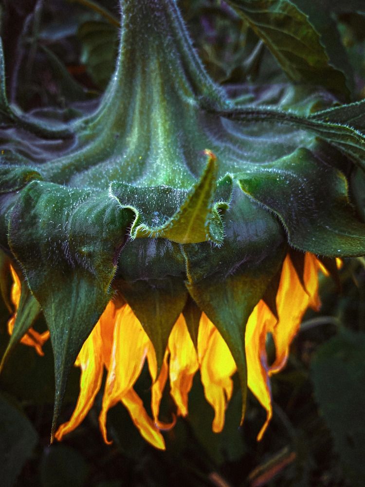 Photograph by Anna Chub