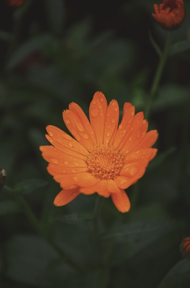 Photograph by Мария Зыкова