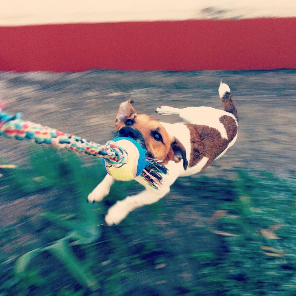 Photograph by Илья Ушак