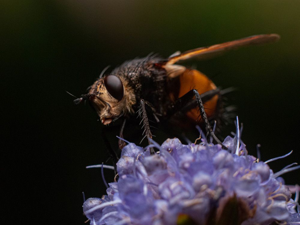 Photograph by Екатерина Котляренко