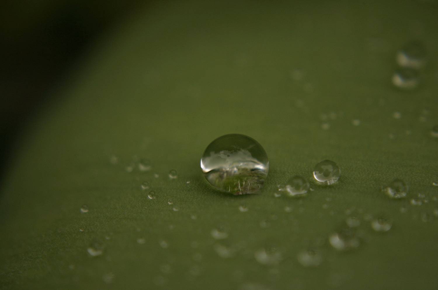 Green Drop