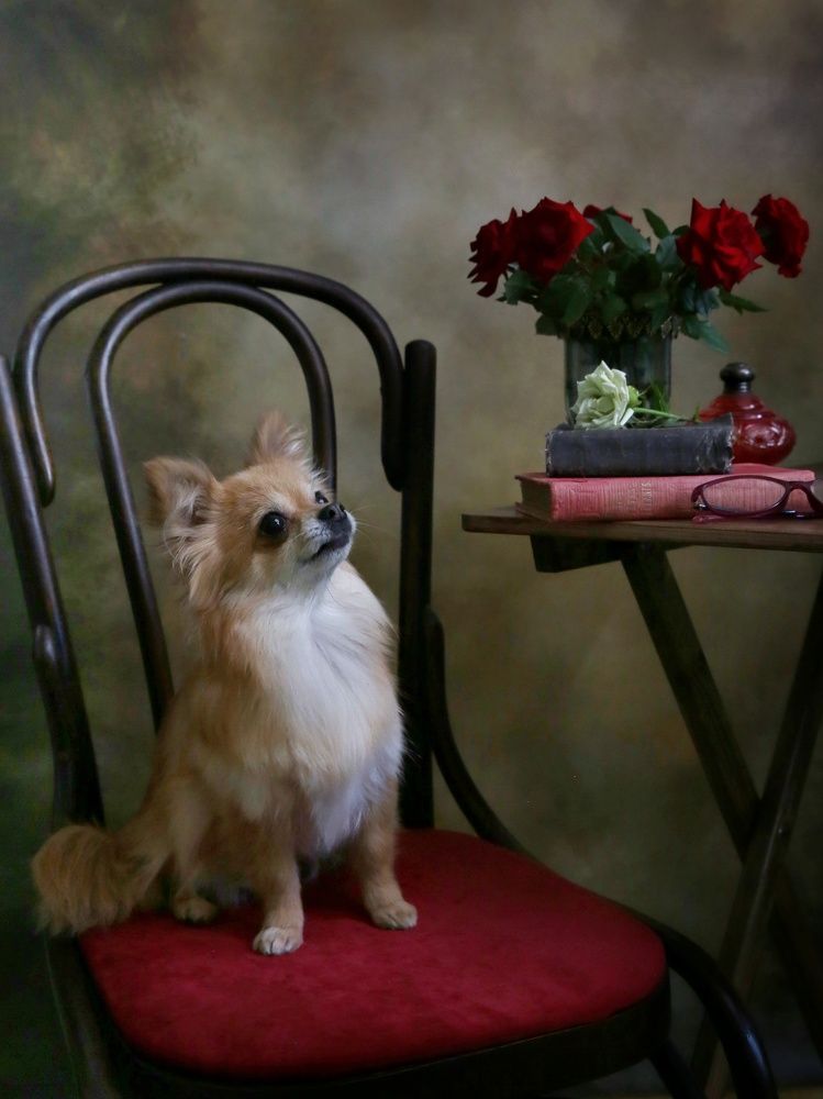 Photograph by Елена Бородина