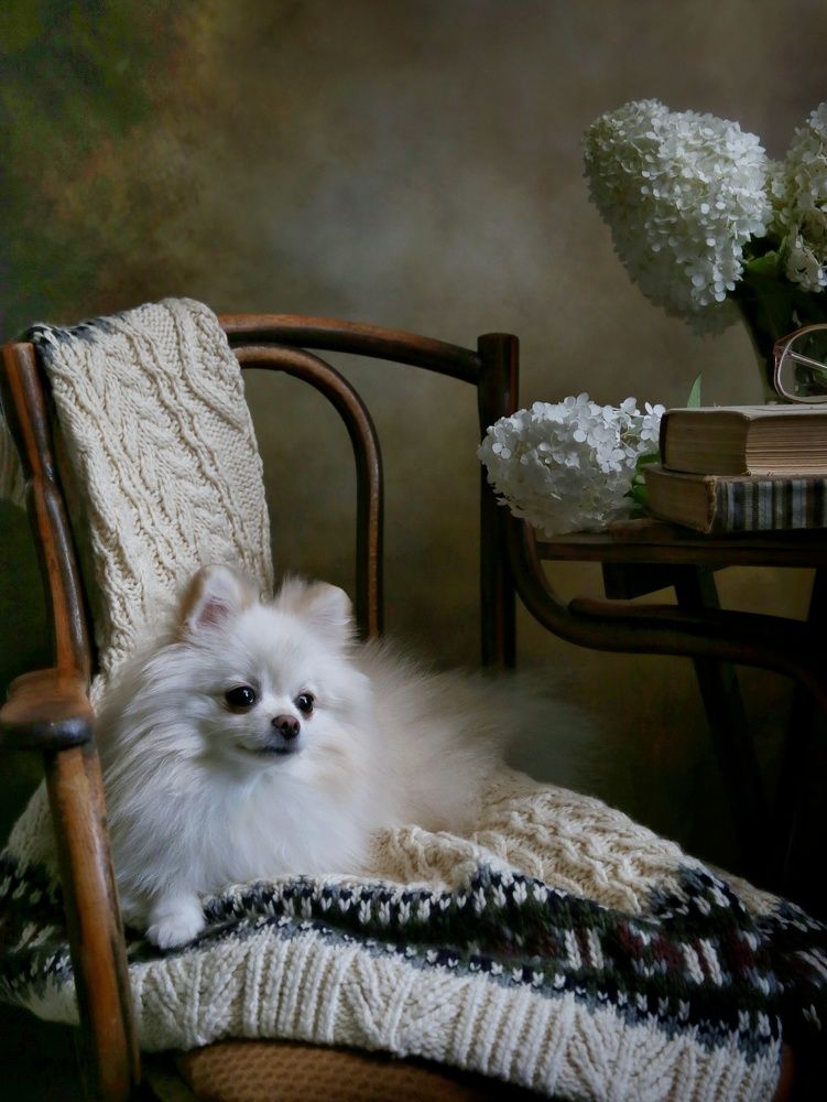 Photograph by Елена Бородина