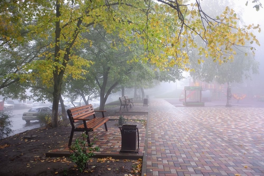 Photograph by Михаил Зорин