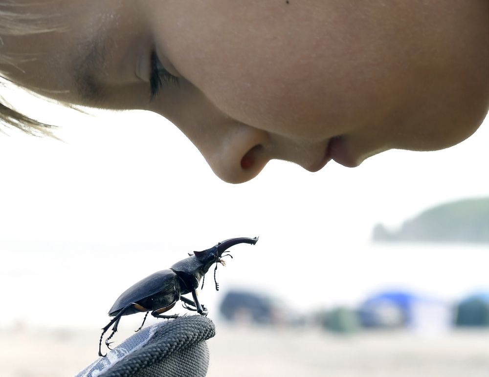 Photograph by Сергей Галёса