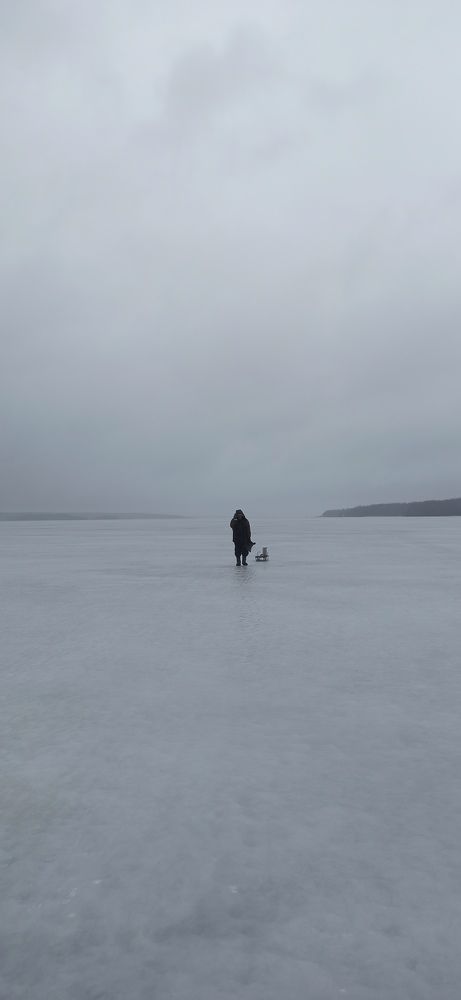Photograph by Эльвира