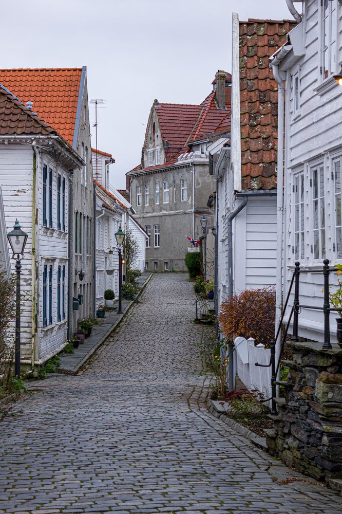 Фотография автора Minja Jovetic