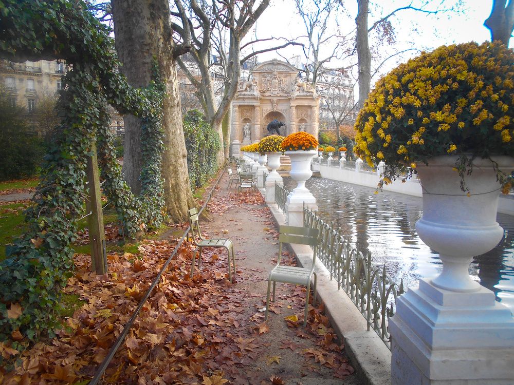 Photograph by Denis Navarro