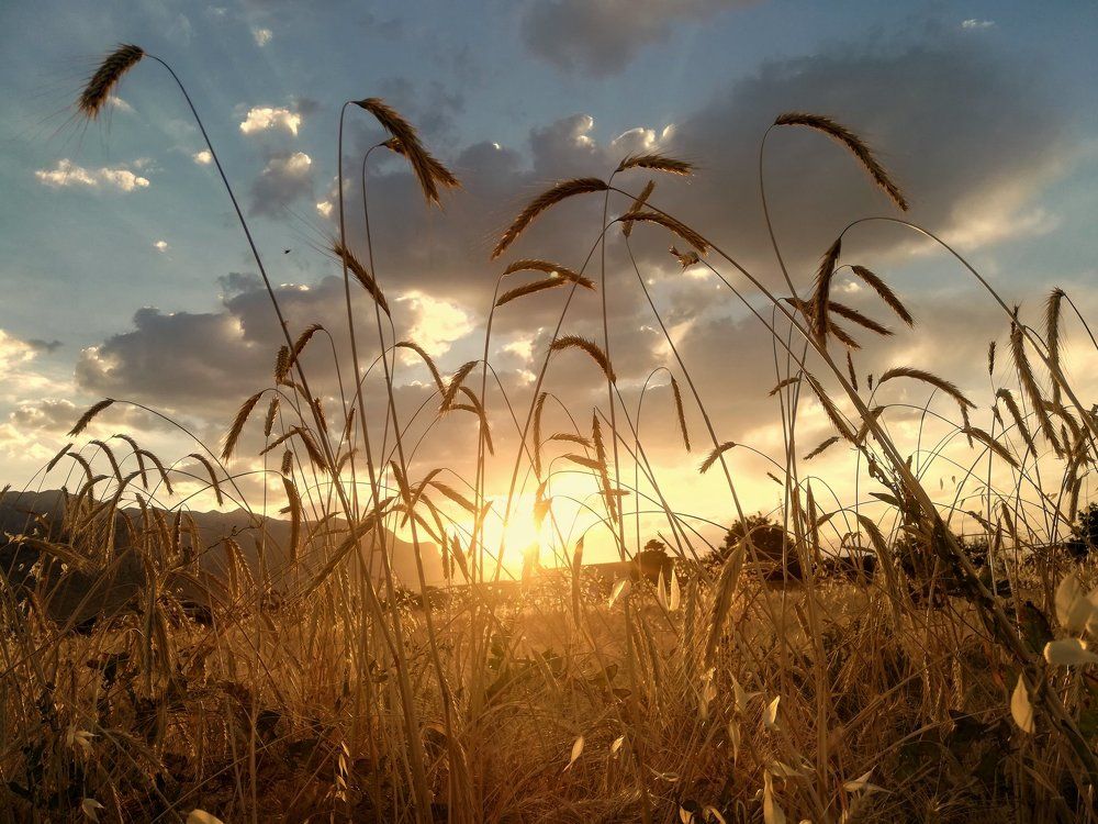 Photograph by Mohmadreza Nejat