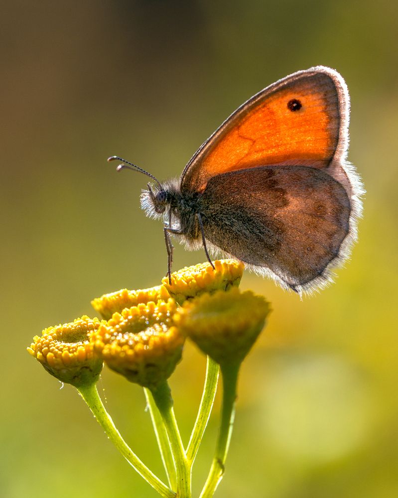 Photograph by Михаил