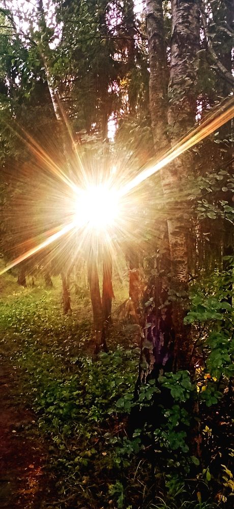 Photograph by Анна Липилина