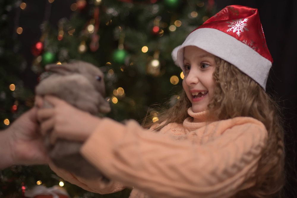 Мягкий комочек