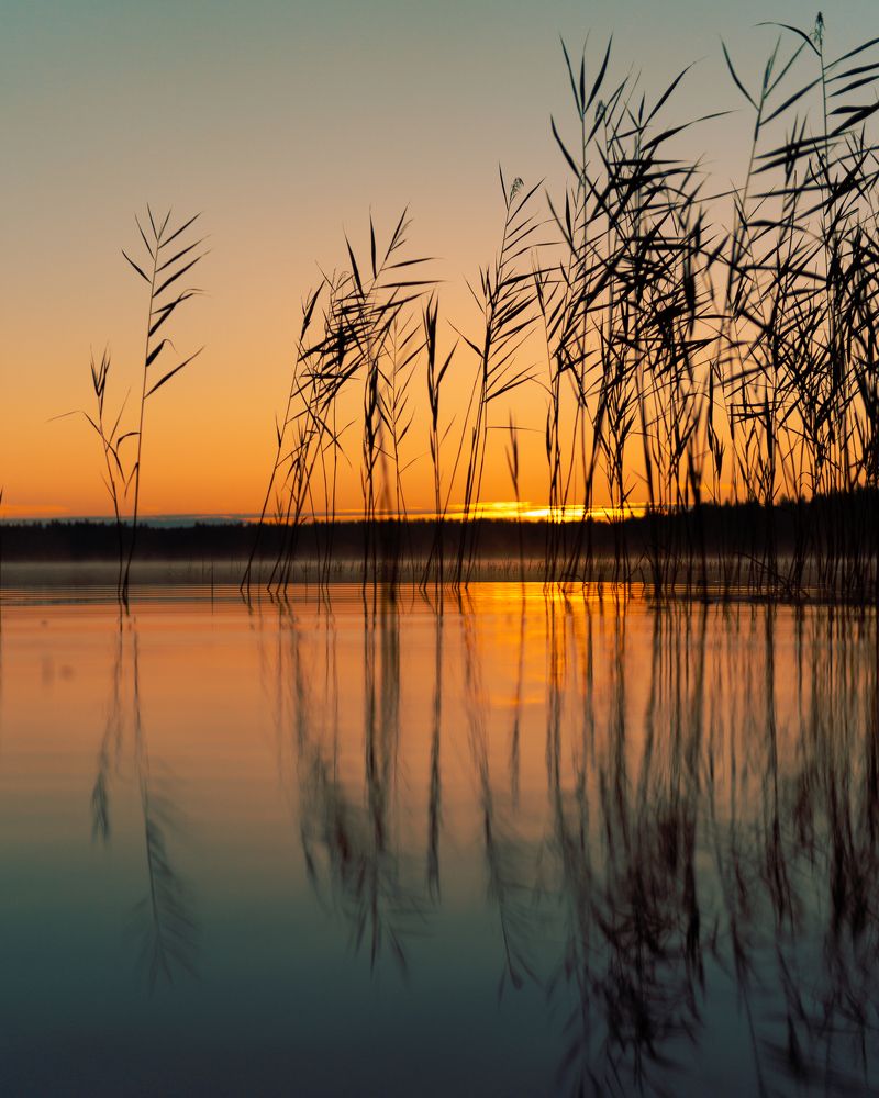 Photograph by Анастасия Черкасова