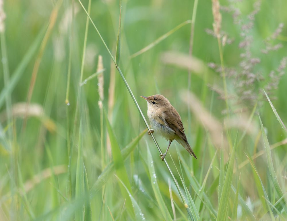 Photograph by Александр Акулов