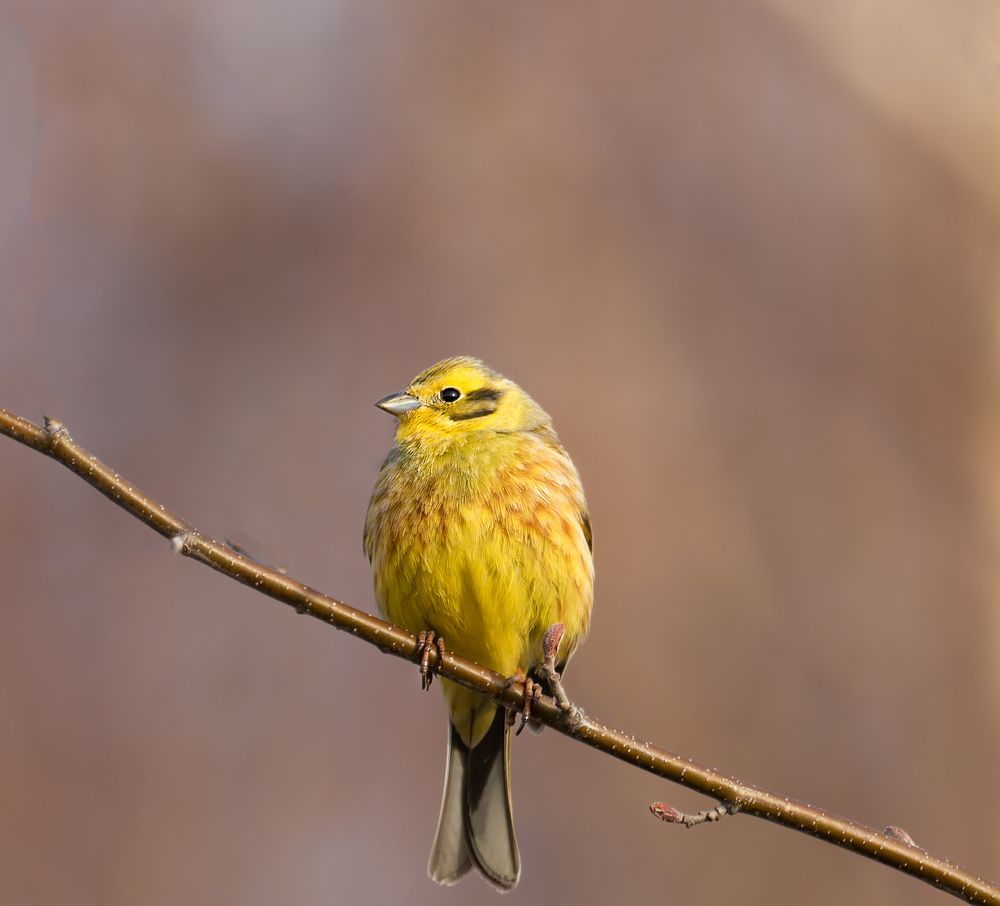 Photograph by Александр Акулов