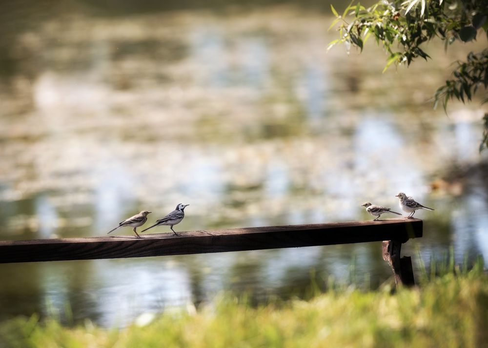 Photograph by Victor Stepanov