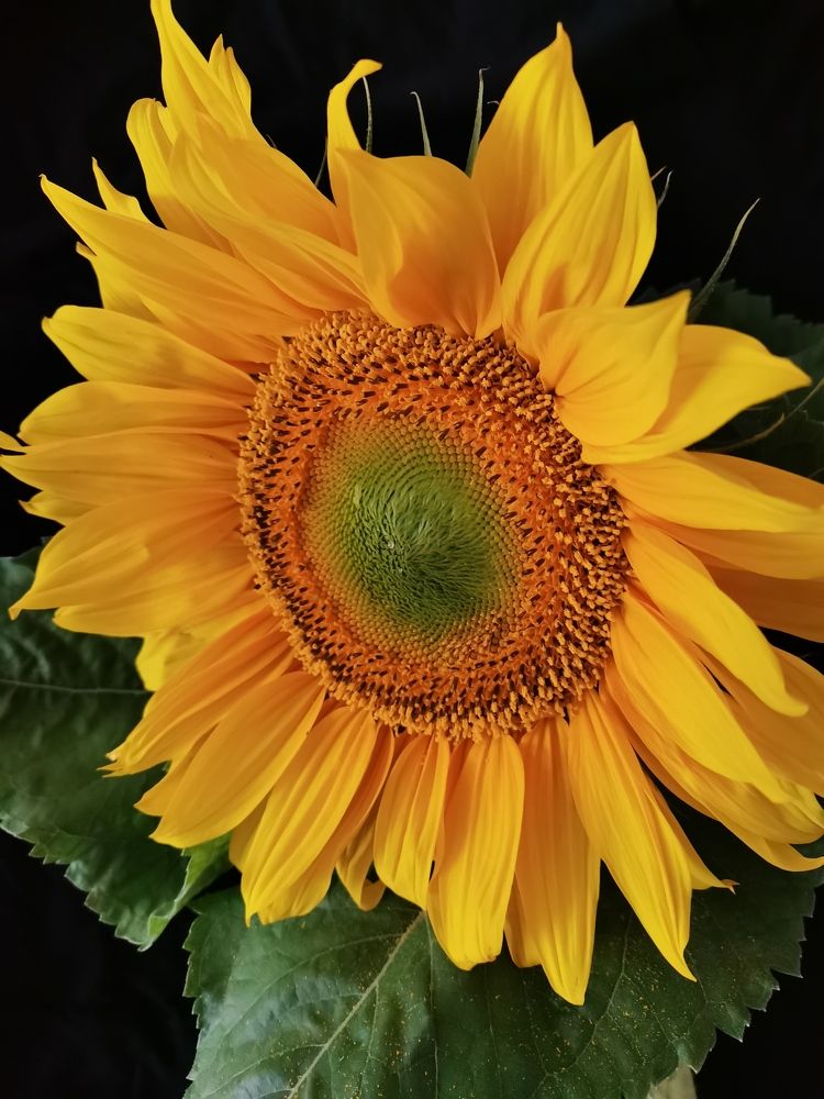 Photograph by Наталья Круглова