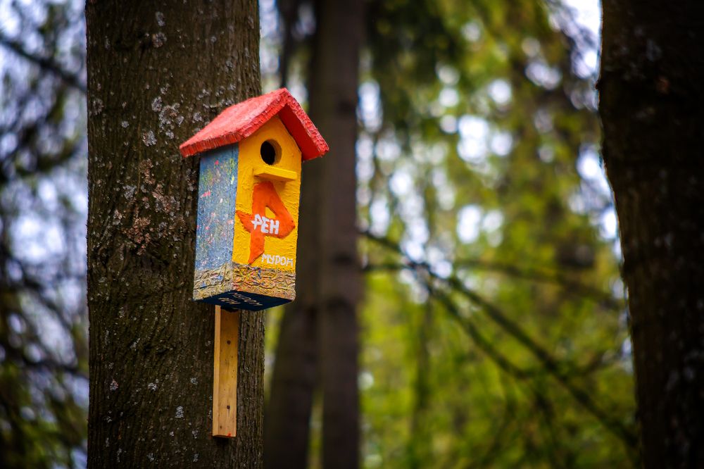 Photograph by Алексей Трифонов