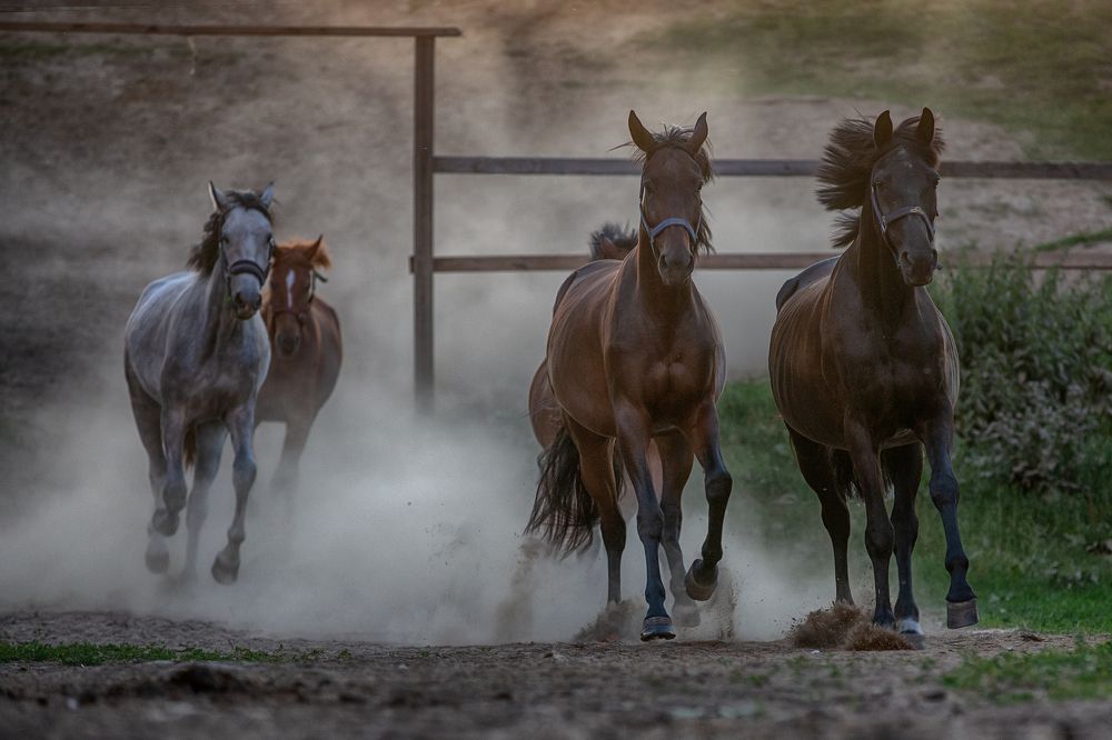 Photograph by Kovaleva Irina