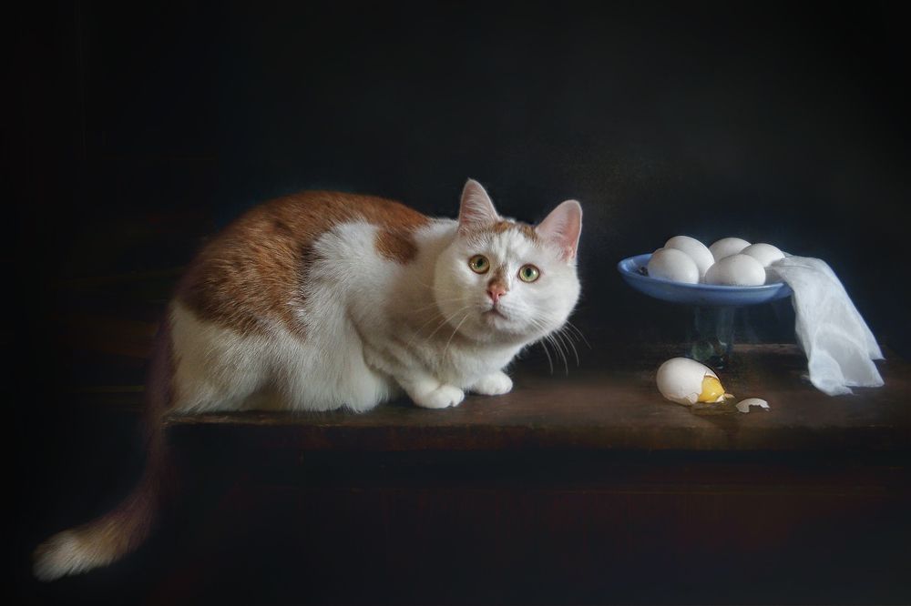 Photograph by Vera Eremeeva