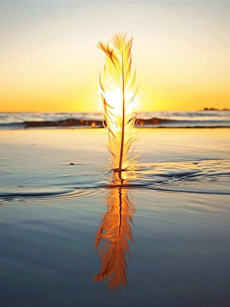 Photograph by Марина Хохрякова