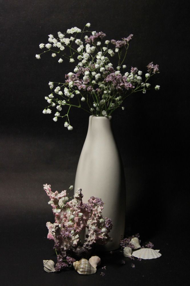 Photograph by Анна