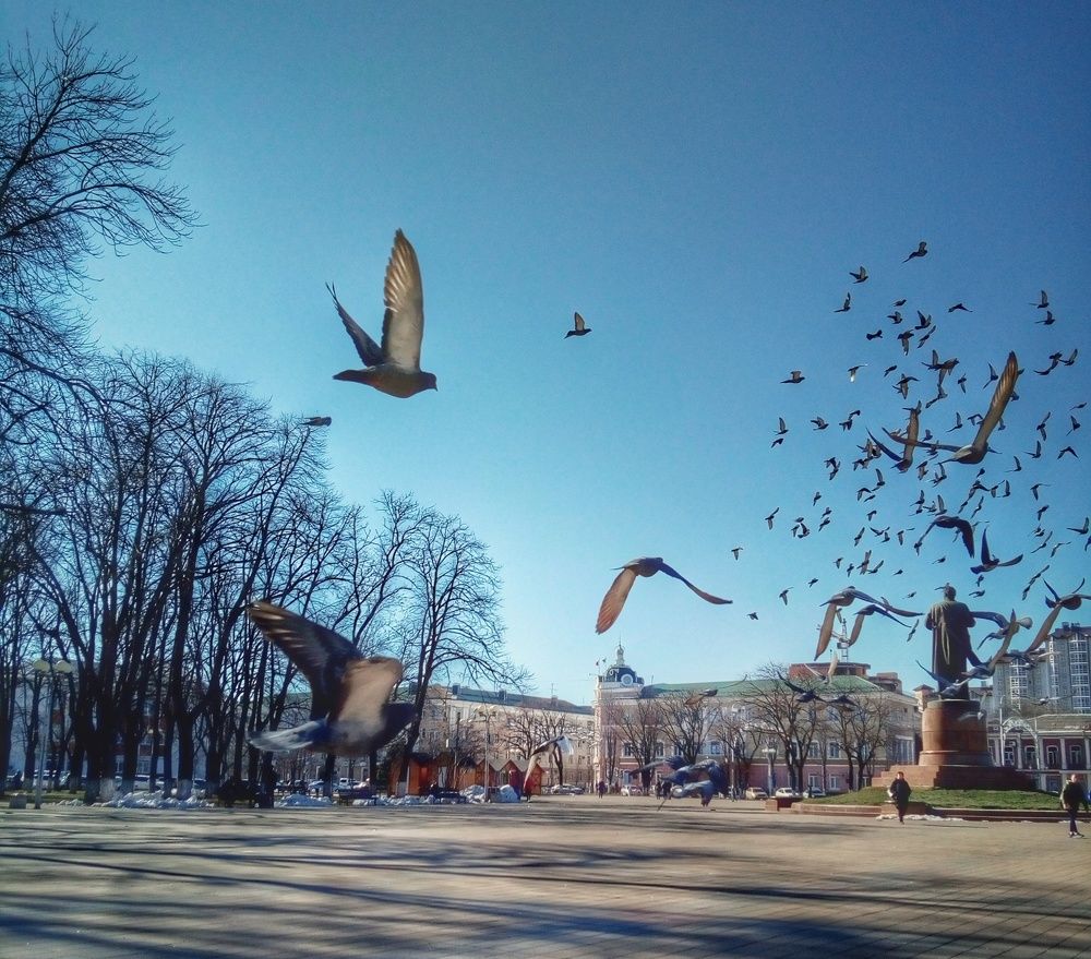 Photo #9449731