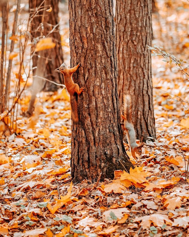 Photograph by Oxana Denina