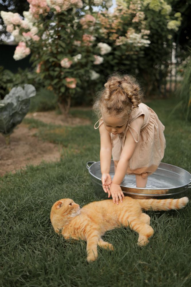 Photograph by Марина Мужиченкова