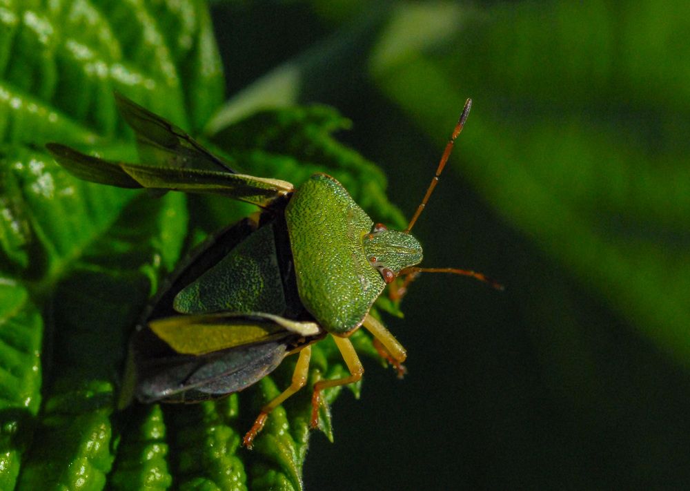 Photograph by Римма Волченко